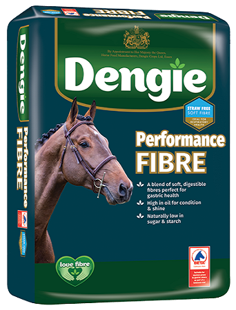 Sieczka Performance Fibre 20kg DENGIE