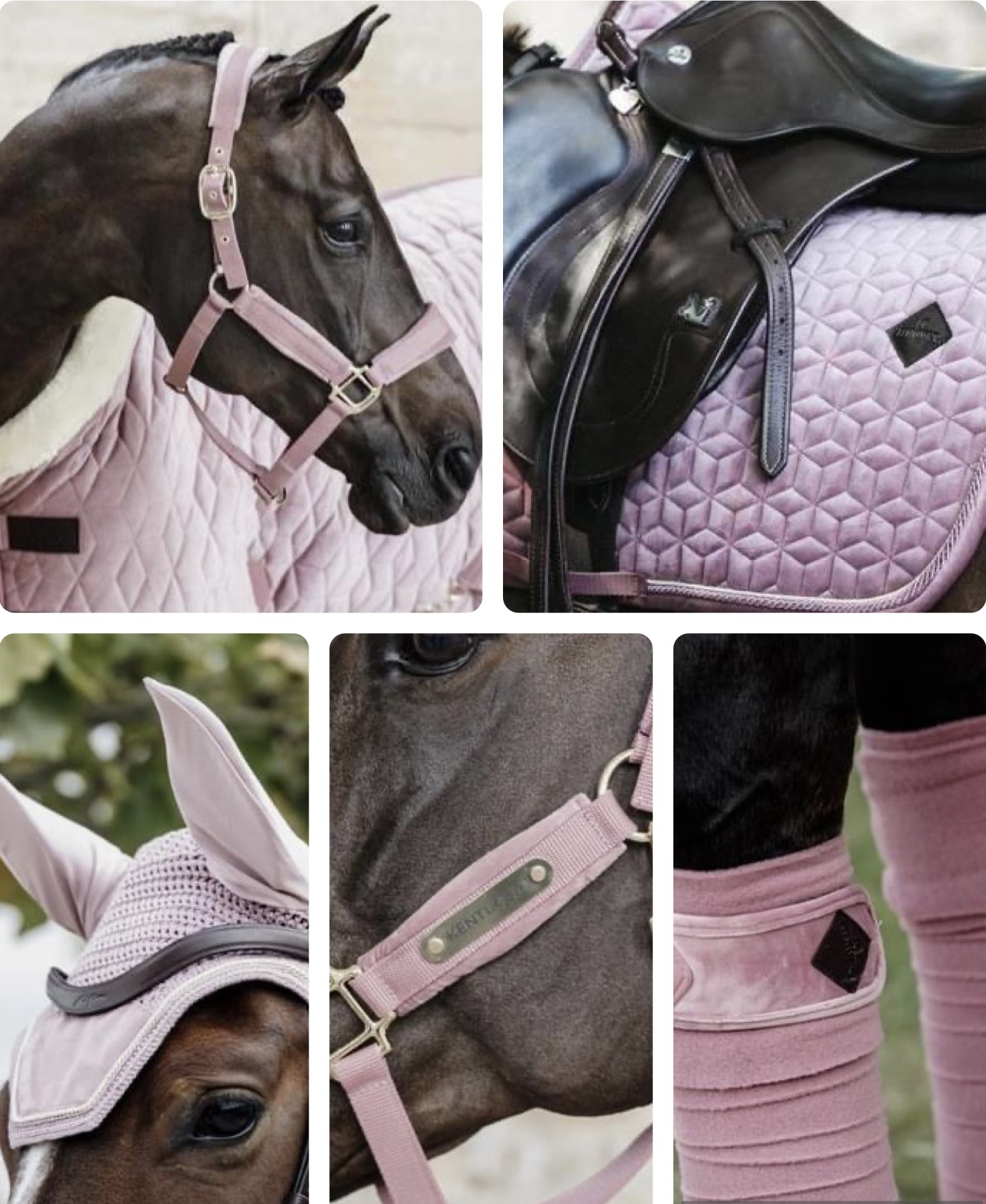 Kentucky Horsewear