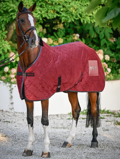 BOSS Equestrian AW25/26 – elegancja w siodle