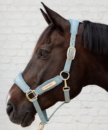 Kantary - jaki wybrać? Poznaj nasze TOP 10!