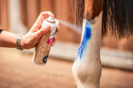 Spray dezynfekujący BLAU 200ml BENSE&EICKE