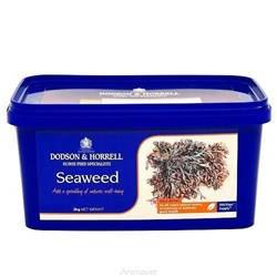 ALGI Seaweed 2kg D&H