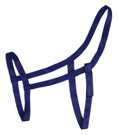 Kantar Grazing bez okuć WALDHAUSEN kolory