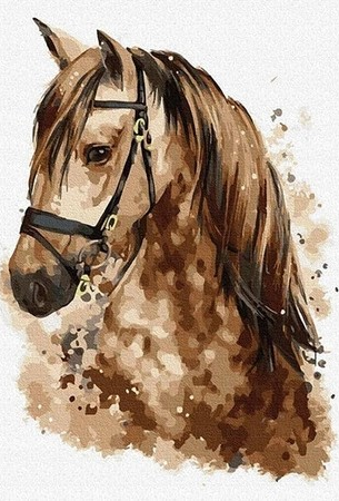 Malowanie po numerach Koń Portret 40x50cm