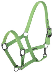 Kantar green COVALLIERO