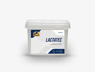 Suplement LACTATEC BOX 2kg CAVALOR