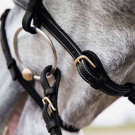 Ogłowie Constance black HORZE