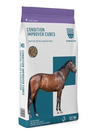 Pasza Condition Improver CUBES gran. 20kg SARACEN