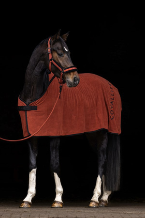 Derka polarowa rust COVALLIERO