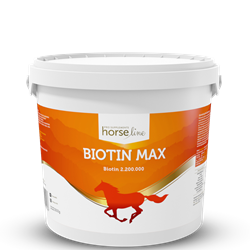 Biotyna Biotin Max 3kg HORSELINEPRO