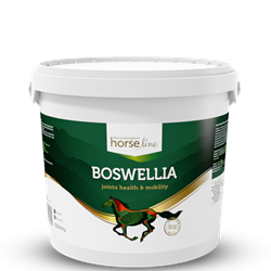 Na układ ruchu Boswellia Serrata 2kg HORSELINEPRO