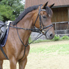 Wodze Thiedemann black FULL KERBL