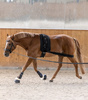 Bandaż treningowy COB/FULL black WALDHAUSEN