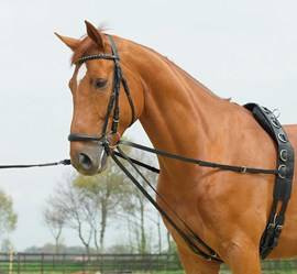 Wypinacz podwójny BASIC Cob/Full black BUSSE