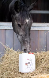 Olej lniany OMEGA3 zimnotłoczony 5l OPTIFEED