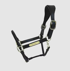 Kantar ANATOMIC Leather black COB KENTUCKY