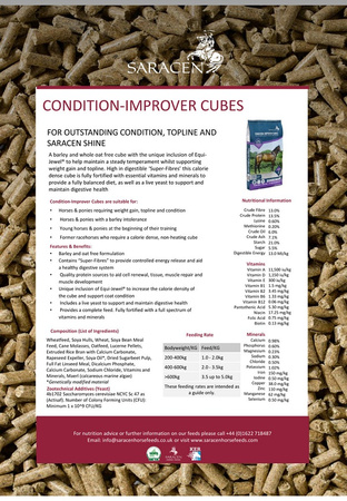 Pasza Condition Improver CUBES gran. 20kg SARACEN