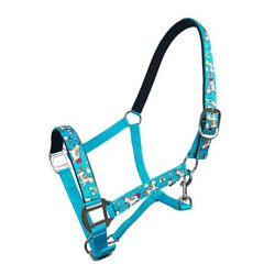 Kantar TIMMY YORK kolory