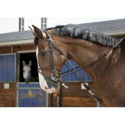 Gogue FULL havana RIDING WORLD