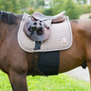 Pas przeciw otarciom od ostróg black PONY HORZE