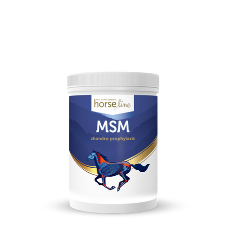 Na układ ruchu MSM 1,3kg HORSELINEPRO