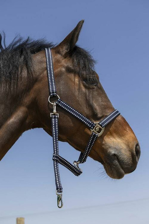 Kantar GROOMING EKKIA różne kolory