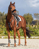 Futerko na wytok black 50cm QHP