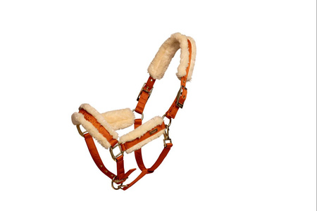 Kantar z uwiązem Bronze Gold E.STOCKHOLM