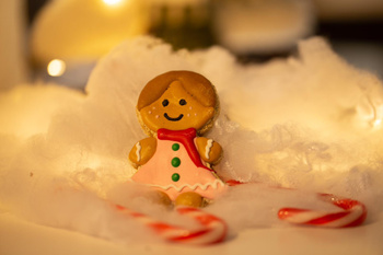 Pierniczek ŻONA PANA CIASTKA QueenElizabethHorse