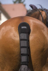 Ochraniacz transportowy na ogon black EKKIA