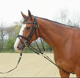 Gogue Basic skórzany Cob/Full black BUSSE