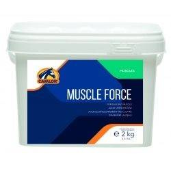 Na układ ruchu MUSCLE FORCE 2kg CAVALOR