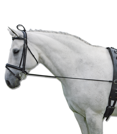 Czambon gumowy black WALDHAUSEN