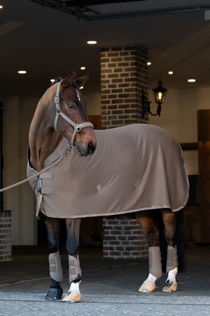 Derka AERIAL JERSEY smoky taupe ESKADRON