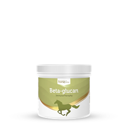 Optymalizacja trawienia Betaglukan 300g HORSELINEPRO