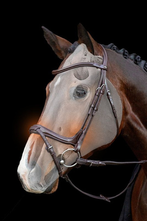 Ogłowie SP ANCONA esp./silver FULL SCHOCKEMOHLE