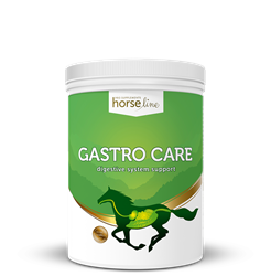 Na układ pokarmowy Gastro Care 700g HORSELINEPRO