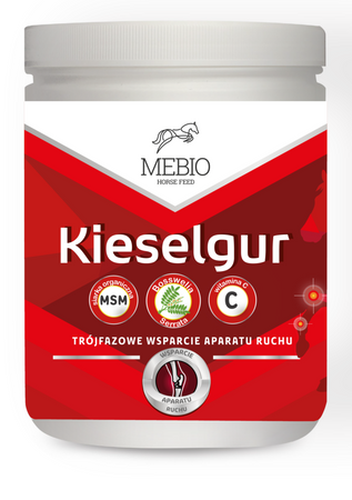 Witaminy KIESELGUR MSM/BOSSWELIA /Wit.C 1kg MEBIO