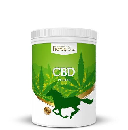 Kwiat konopii CBD 1,5kg HORSELINEPRO