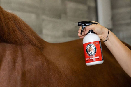 Spray do grzywy i ogona GRZYWA I OGON 500ml DOCTOR HORSE