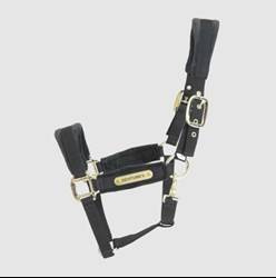 Kantar VELVET black KENTUCKY