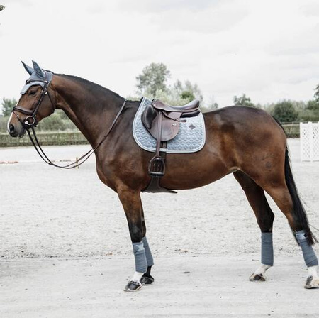 Czaprak VELVET light blue COB KENTUCKY
