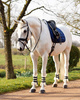 Czaprak CLASSY navy VS QHP