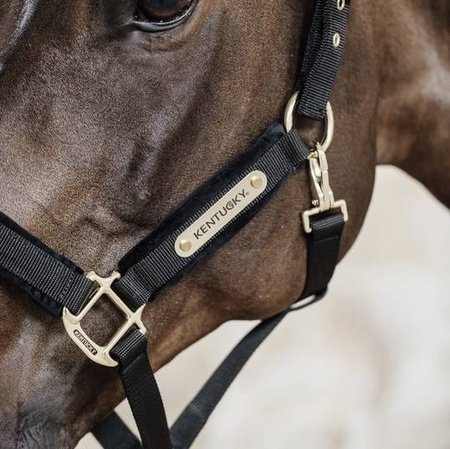 Kantar VELVET black KENTUCKY