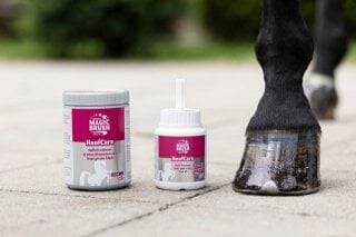 Smar do kopyt Hoof Care yellow 1000ml MAGIC BRUSH