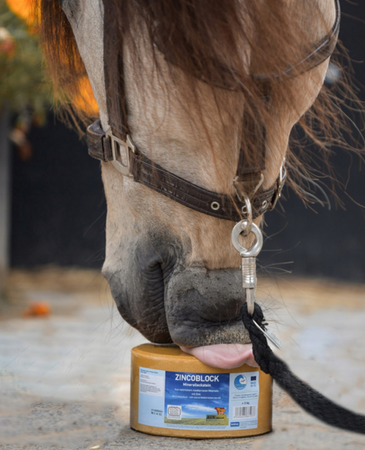 Lizawka IMIMA ZINCOBLOCK 3kg ACERBIPHARMA