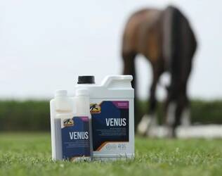 Suplement na uspokojenie VENUS 500ml CAVALOR