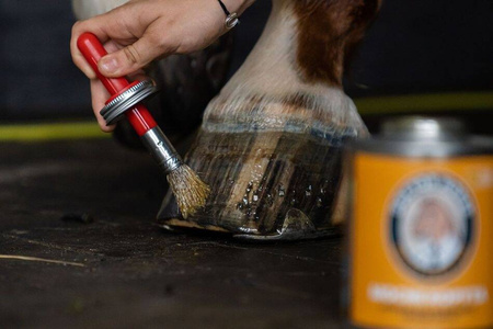 Olej do kopyt MOCNE KOPYTA 450ml DOCTOR HORSE