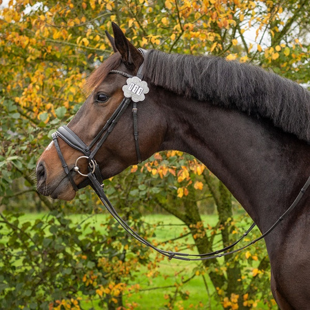 Numerek startowy CLOVER silver QHP