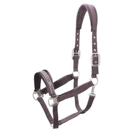 Kantar SOFT VELVET hazel SCHOCKEMOHLE